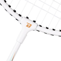 红双喜(DHS)羽毛球拍对拍套装训练比赛深凹槽羽拍2支EG120含羽毛球手胶