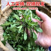 土地母亲计划现摘荠菜野菜春菜当季新鲜素菜现挖野生荠菜饺子食材 野生荠菜 2斤