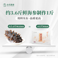 小兵海参即食海参官方店辽参大连海参鲜活野生海渗 10-13头/斤