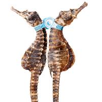 林氏珍宝堂 海马一公一母配对干货春节盒滋补品中炖汤药煲汤泡酒材