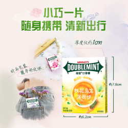 绿箭 双味口香糖 12片/盒