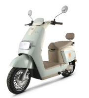 五星钻豹 电动车72V20AH电动摩托车1200W大功率长续航外卖车两轮成人男女式电瓶车 N5青竹绿