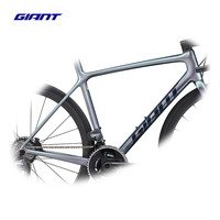 捷安特(GIANT)TCR Adv S 1 D-AXS碳纤维速油碟电变弯把公路车 建议身高183-193cm