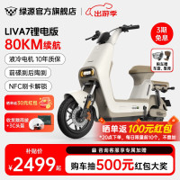 绿源 LIVA7 豪华版 新国标电动自行车 48V24Ah 锂电 空间白