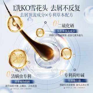 ZCL 去屑止痒控油蓬松留香 洗发水  500ml