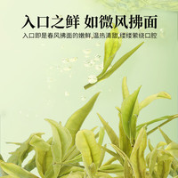 狮峰牌2025新茶安吉原产地白茶绿茶叶春茶白叶一号 安吉白茶【一级尝鲜装】35g