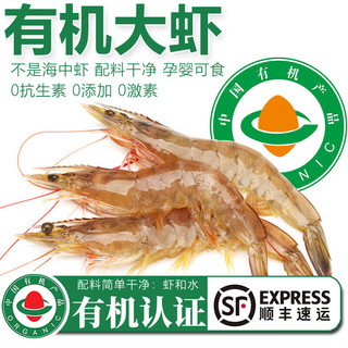 太湖海【有机大虾】无抗生素盐田虾渤海水产对虾类孕婴儿童宝辅生鲜年货  (净重)