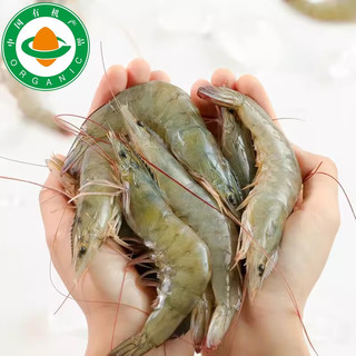 太湖海【有机大虾】无抗生素盐田虾渤海水产对虾类孕婴儿童宝辅生鲜年货  (净重)