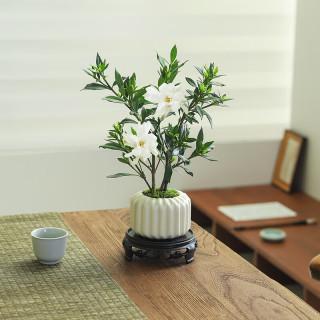 八芽 小叶栀子花-陶瓷竖纹盆-密胺托