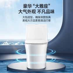 恒洁 马桶905 超旋风双漩冲水抗菌釉面虹吸式坐便器HC0905DT-305 坑距是300-390选305