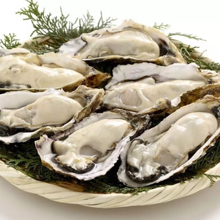 味优福现捕捞 乳山生蚝 XXXL鲜活 2.5斤 海鲜牡蛎 生鲜 带壳海蛎子 新鲜乳山生蚝 单个 2-3两