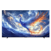 今日必买：雷鸟 鹤6系列 98S595C-A 液晶电视 98英寸 4K
