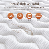 循之 防螨混纺面料 椰棕床垫