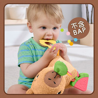 费雪 早教启蒙学习礼盒婴幼儿礼盒-费雪毛绒卡皮巴拉JFW58