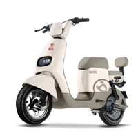 宝岛 电动自行车新款N18星恒长续航80km豪华外观代步首选