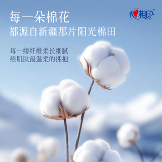 心相印 纯棉干湿两用悬挂式棉柔巾 80抽