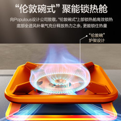 万和 JZT-P7B50A6 5.2kW猛火 天然气双灶嵌入式燃气灶
