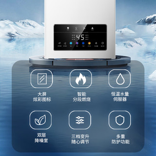 樱花 JSQ30-JSP510 水伺服恒温 16L 天然气燃气热水器