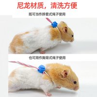 茨格曼 仓鼠牵引绳子【颜色】松鼠荷兰猪牵引绳遛鼠绳溜兔绳魔王金丝熊刺猬用品