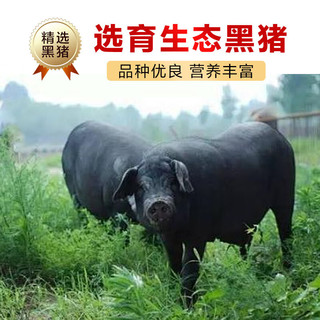 楚甄鲜恩施黑猪汤骨净重4斤免切尾骨叉骨杂排切块熬汤红烧散养源头直发