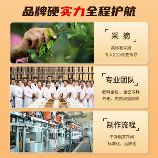 澜沧古茶茶2024年手冲普洱熟茶袋泡茶自饮礼盒装