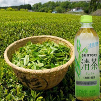 三得利（Suntory）清茶绿茶500ml整箱瓶装即饮茶饮料童年回忆商用 9瓶*500ml(绿茶)