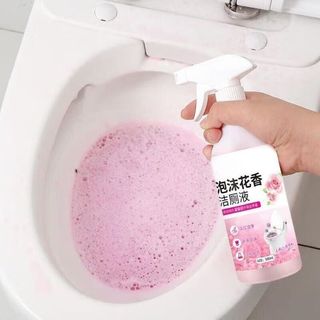 诗芮源洁厕灵马桶清洁剂厕所清洁厕宝除垢除尿碱除味洁厕液家庭装 2瓶装 500g