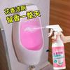 诗芮源洁厕灵马桶清洁剂厕所清洁厕宝除垢除尿碱除味洁厕液家庭装 2瓶装 500g