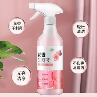 诗芮源洁厕灵马桶清洁剂厕所清洁厕宝除垢除尿碱除味洁厕液家庭装 2瓶装 500g