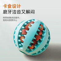 贝意品宠物狗狗玩具解闷橡胶耐咬洁齿磨牙球大小型幼犬消耗精力发声