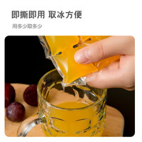 HOUYA 一次性冰格袋制冰袋100只【配2个漏斗】自封口制冰模具冰块袋 【热销款】一次性冰格袋 100只