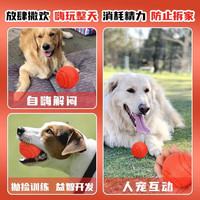 贝意品狗狗玩具球小狗自嗨解闷宠物球耐咬磨牙橡胶球幼犬大狗大型犬