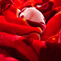 雅鹿拉舍尔毛毯冬季加厚保暖办公室午睡毯家用多功能沙发盖毯子午休毯 郎才女貌【多功能 可铺盖】 150*200cm【重约4斤】