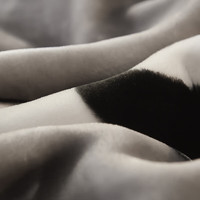 雅鹿拉舍尔毛毯冬季加厚保暖办公室午睡毯家用多功能沙发盖毯子午休毯 熊猫盼盼【多功能 可铺盖】 200*230cm【重约7斤】