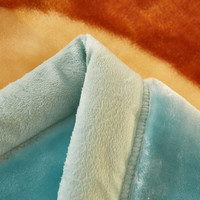 雅鹿拉舍尔毛毯冬季加厚保暖办公室午睡毯家用多功能沙发盖毯子午休毯 熊小小【多功能 可铺盖】 150*200cm【重约4斤】