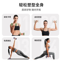 斯诺德(SiNuoDe)哑铃女士家用器材运动瑜伽塑形跳操锻炼臂肌纯铁浸塑哑铃男士 紫罗兰色-4KG*2【女士进阶训练】