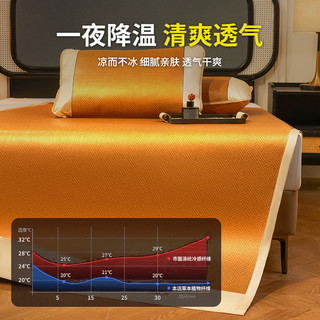 梦特娇 艾草凉席 简约款-经典格 90x200cm 冰丝席