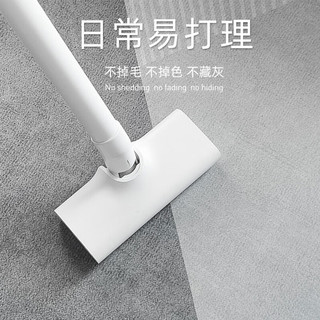 布迪思地毯客厅地毯卧室家用沙发大面积满铺北欧简约轻奢风可高级感 现代9617 140*200CM