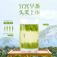 川红2025年春茶雀舌特级明前绿茶宜宾早茶新茶四川特产嫩芽 100g