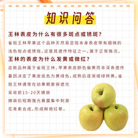 京鲜生山东雀斑王林苹果 净重 单果130g+(果径70mm+)源头直发