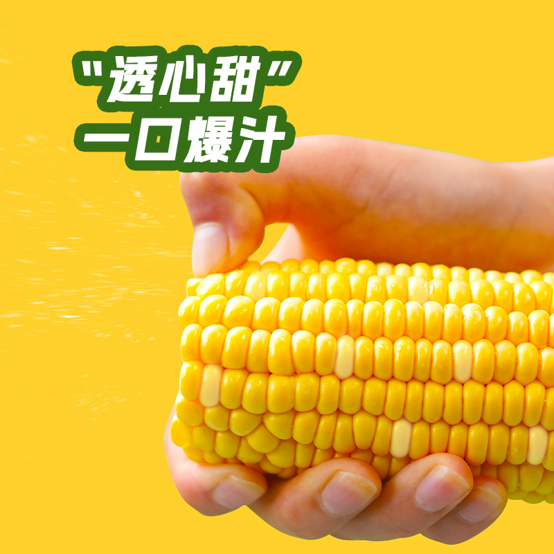 【嫩脆多汁】东北农嫂水果型即食甜玉米穗1.1kg/6穗免煮即食