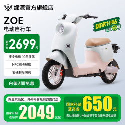绿源 ZOE 新国标电动自行车