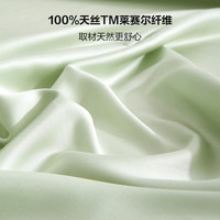 太湖雪枕套一对装A类100%兰精天丝面料莱赛尔抗菌床单隔脏被单 春竹绿床单【245x250cm】 A类抗菌100%天丝面料 48cm*74cm
