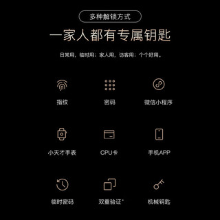 凯迪仕 Q20VP 人脸识别 AI猫眼 电子锁