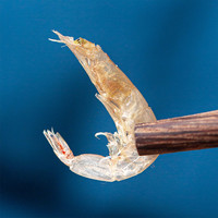 盛耳淡干虾皮海产品小虾米干货海鲜50g补高钙虾皮淡干无添加盐