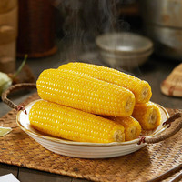 佟创东北黄糯玉米甜糯玉米棒 新鲜加热即食黏玉米 东北黄糯玉米均重