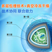 2盒装40袋】贝斯迪复合益生菌粉高活性15000亿原菌粉活性总数活菌益生元肠胃肠道 2盒共40袋】北京同仁堂0蔗糖益生菌冻干粉