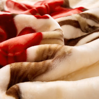 南极人(Nanjiren)毛毯被子冬季加厚拉舍尔绒毯子单人午睡毯办公室沙发盖毯结婚毯 658油棕【双层加绒加厚】 200x230cm约8斤