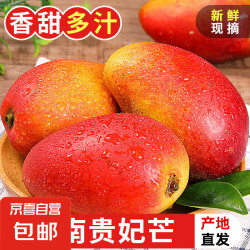 芒果 OMUGO 海南三亚 贵妃芒果 5斤 中大果（单果100-150g）