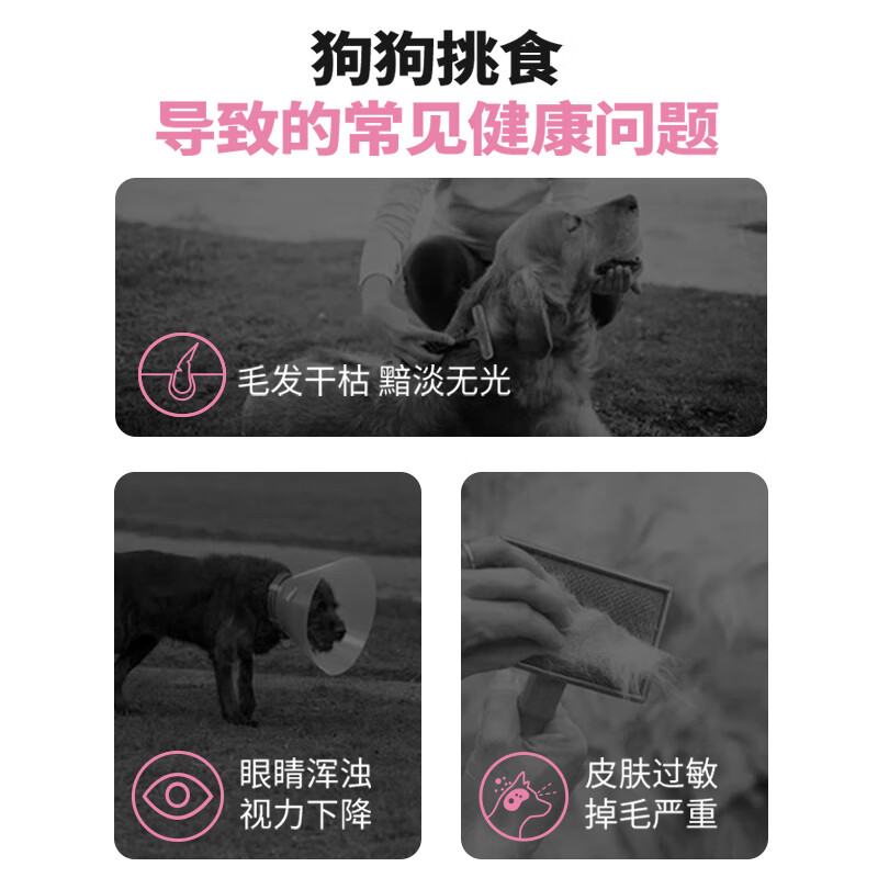 冠能狗粮成犬粮小型犬挑食美毛配方成犬5.5kg泰迪柯基比熊通用犬主粮 小型挑食美毛成犬粮7kg